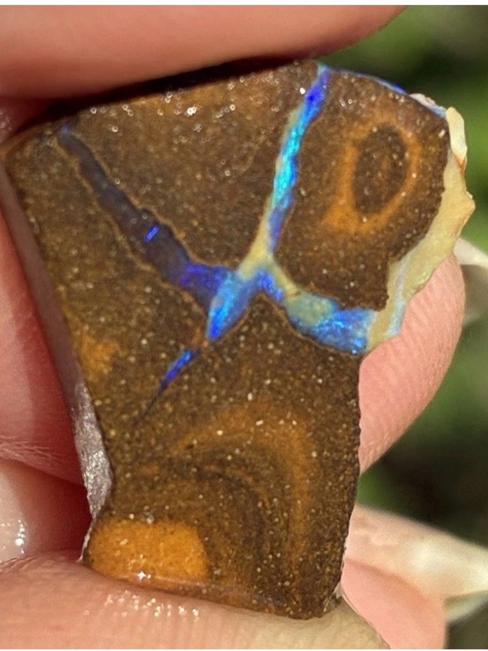 Beautiful 15ct Australian Boulder Opal Rough Loose Specimen Blue NN
